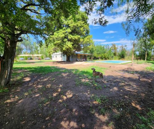 Finca Laurel – Photos 2
