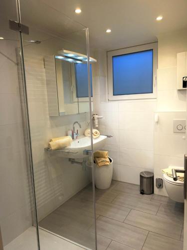 a bathroom with a shower and a sink and a toilet at Calma 1 ebenerdig in Wenningstedt