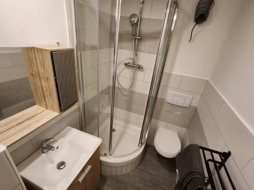 Studio cozy centre ville rdc tesisinde bir banyo