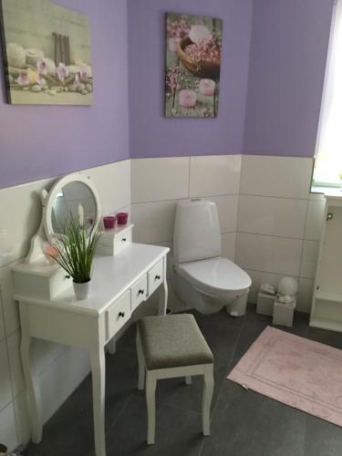 a bathroom with a toilet and a sink and a mirror at Unterkunft am See in Skånes Fagerhult