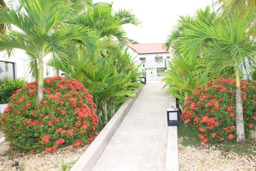 a walkway in front of a building with palm trees at VAIA HOTELES in Coveñas