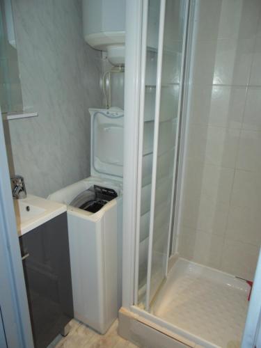 baño pequeño con ducha y lavamanos en ARCHE DE NOE 1, en Cap d'Agde