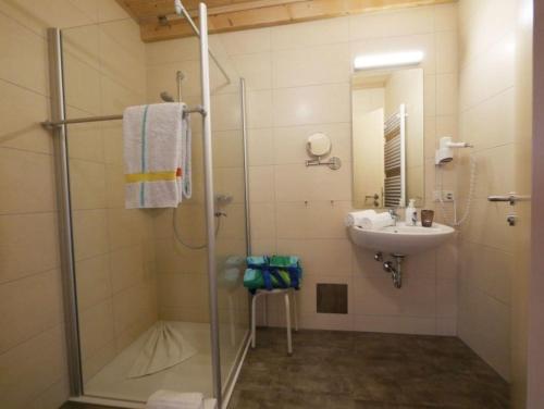 a bathroom with a shower and a sink at Ferienwohnung 9 in Ochsenhausen