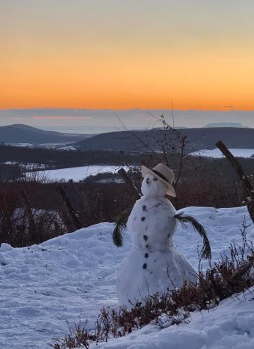 a snowman sitting on top of a snow covered hill at Nagykulcsos Nyúlontúl in Mencshely