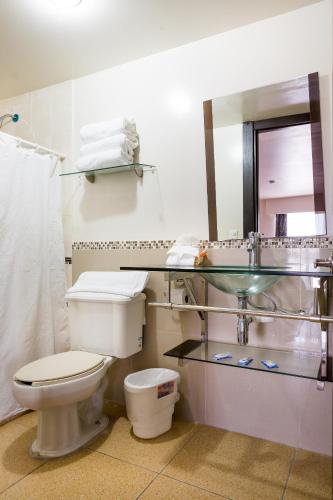 a bathroom with a toilet and a sink and a mirror at Hotel Raldos Inn in Salamanca