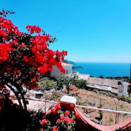 Gallery image of Traditional Panoramic Sea View House in Lákones