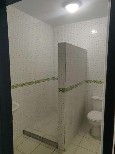 a bathroom with a toilet and a shower stall at ST-Laurent Centre - Baka lycée Confort T1 in Saint-Laurent du Maroni