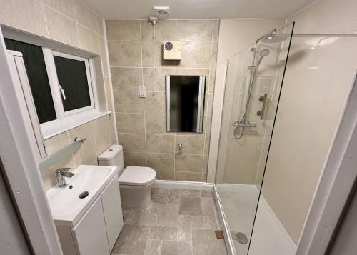 a bathroom with a shower and a toilet and a sink at 8 Dolphin Court in Brixham