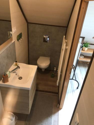 a bathroom with a toilet and a sink at La Grange Aux Fleurs in Rigny-la-Nonneuse