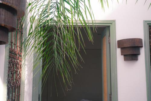 a palm tree hanging over a door of a building at Riad Lalla Mimouna in Marrakech