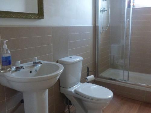 a bathroom with a toilet and a sink and a shower at Inglewood in Chorley