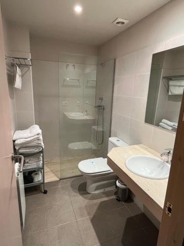 La salle de bains est pourvue de toilettes, d'un lavabo et d'une douche. dans l'établissement Can Morera Apartaments a Les Preses, à Les Preses