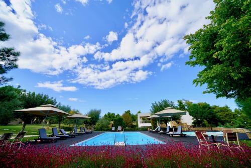 Sani Polyastron Hotel & Spa في ساني بيتش: مسبح مع كراسي ومظلات