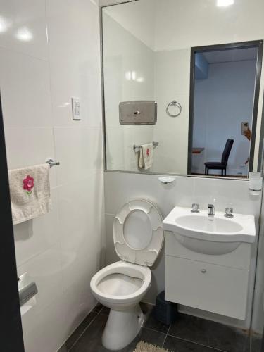 a bathroom with a toilet and a sink and a mirror at Plaza Independencia in Mendoza