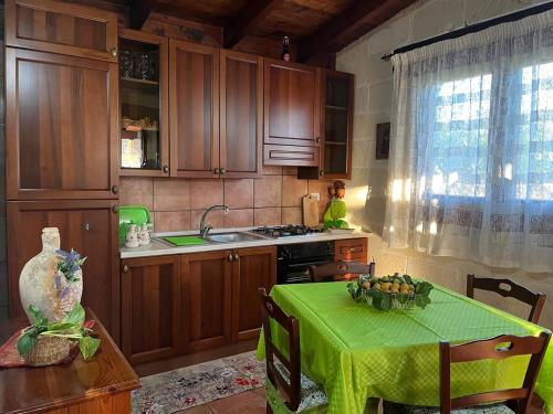 ナルドにあるCase Vacanze Agriturismo Fontanellaのキッチン(テーブル、緑のテーブルクロス付)