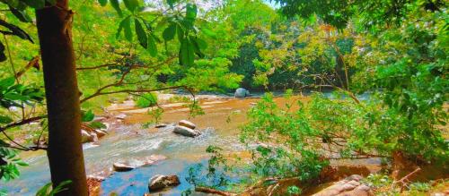 Un paisaje natural cerca de la villa