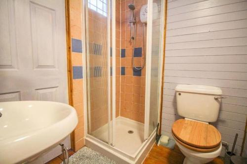 a bathroom with a shower and a toilet and a sink at Granite Country Cottage west of Penzance in Sancreed