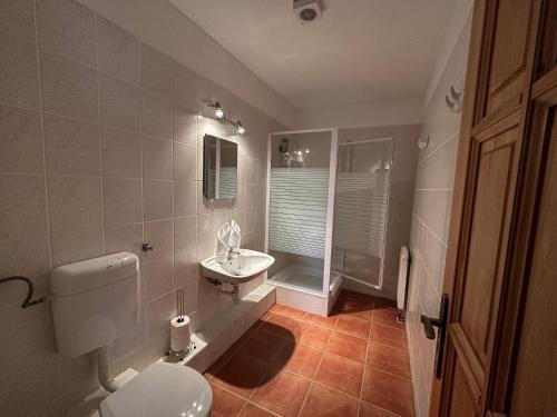a bathroom with a toilet and a sink at HAnd Birtok in Siklós
