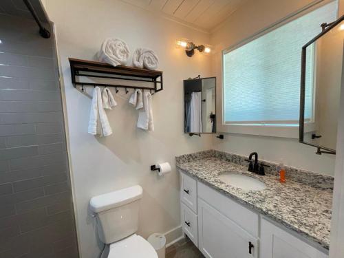 a bathroom with a toilet and a sink and a mirror at Tree Spirit Retreat - 4310 Third Street in Saint Simons Island