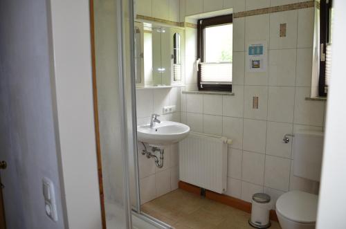 a bathroom with a sink and a toilet at Seehof Royer in Obertraun