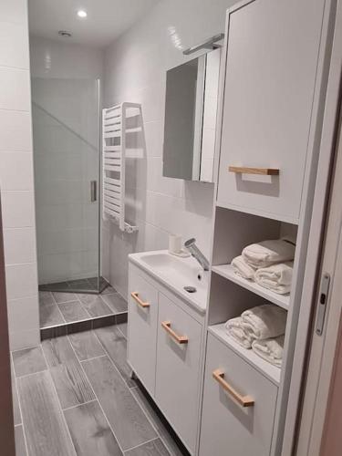 une salle de bain blanche avec un lavabo et une douche dans l'établissement Elégant 2 chambres vieille ville, à Besançon