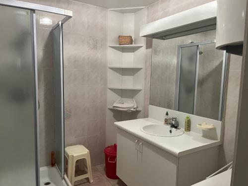 een kleine badkamer met een wastafel en een douche bij Mas des Rompides in Maillane
