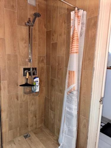 a shower with a shower curtain in a bathroom at Pont Achard #2-T1bis-Mezzanine -5mnGare- Poitiers in Poitiers