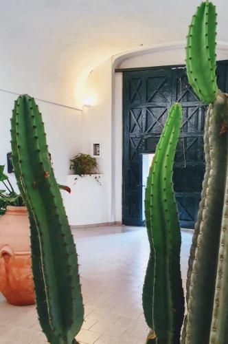 Gambar di galeri bagi Exclusive Home Ischia di Ischia