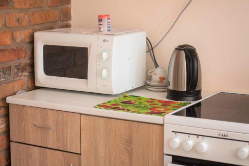 a microwave oven sitting on top of a kitchen counter at Хостел "На Янгеля" с парковкой WIFI in Vinnytsya