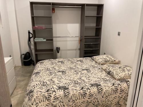 ein Schlafzimmer mit einem Bett und einem Schrank in der Unterkunft Appartement T2 Bayonne st esprit avec parking in Bayonne