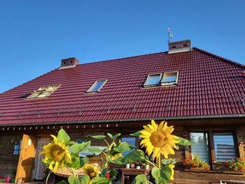 ein rotes überdachtes Gebäude mit Sonnenblumen davor in der Unterkunft DOM GOŚCINNY PTASZARNIA - Ekologia - Natura - Rewilding in Świnoujście
