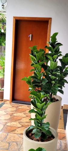 a plant in a pot in front of a door at POUSADA Chacara ENTRE NÓS in Holambra