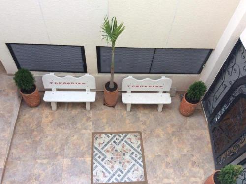 a room with two white benches and a potted plant at Heinz B. in Santa Ana de los Caballeros