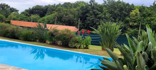 a swimming pool in a garden with plants at POUSADA Chacara ENTRE NÓS in Holambra
