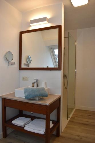 a bathroom with a sink and a mirror at Gastenverblijf De Arend in Nieuwpoort