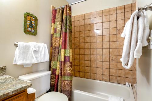 La salle de bains est pourvue d'une douche et de toilettes. dans l'établissement Buffalo Village 402, à Silverthorne