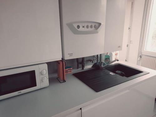 une cuisine avec un évier et un micro-ondes dans l'établissement les Yuccas, Appartement Montpellier F3, à Montpellier