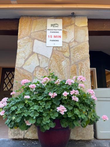 a pot of pink flowers in front of a stone wall at The Historic Brookdale Lodge, Santa Cruz Mountains in Brookdale