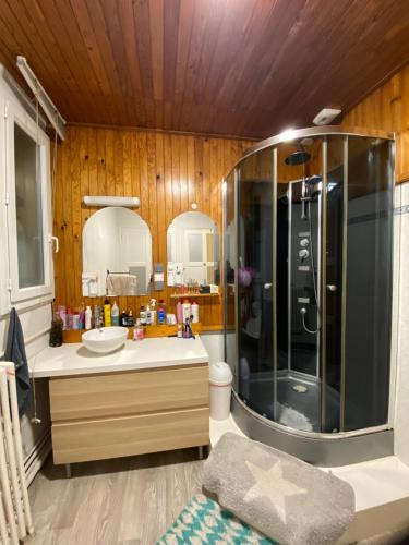 une salle de bain avec douche et lavabo dans l'établissement Maison pour le circuit 24 h du mans, au Mans