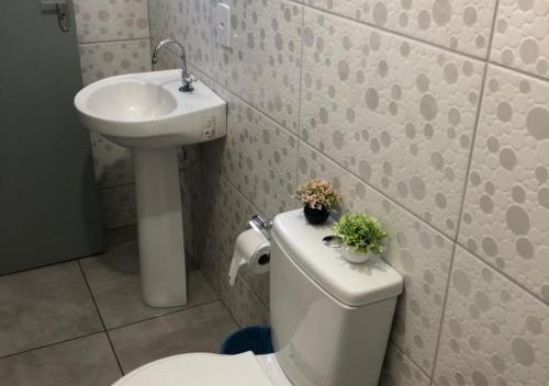 La salle de bains est pourvue de toilettes et d'un lavabo avec 2 plantes. dans l'établissement Apartamento Loft encantador com patio, à Foz do Iguaçu