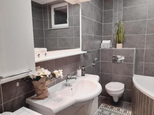łazienka z białą umywalką i toaletą w obiekcie Apartman Jasmina w mieście Bihać