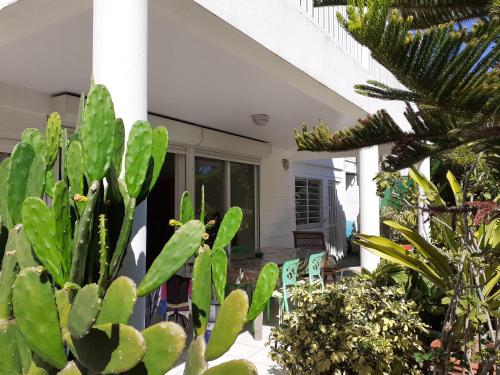 a view of the front porch of a house with plants at Chez Françoise in Noumea