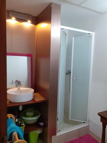 bagno con lavandino e specchio di Chez Françoise a Noumea