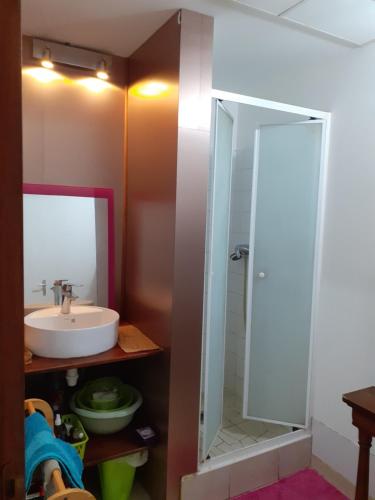 a bathroom with a sink and a mirror at Chez Françoise in Noumea