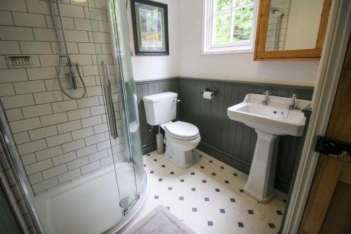 a bathroom with a toilet and a sink at Bossy Castle in Boscastle