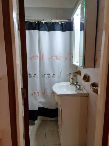 baño con cortina de ducha y lavamanos en Zona Aldrey en Mar del Plata