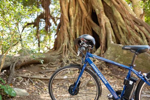 a blue bike parked in front of a tree at TheMana Village in Tosashimizu