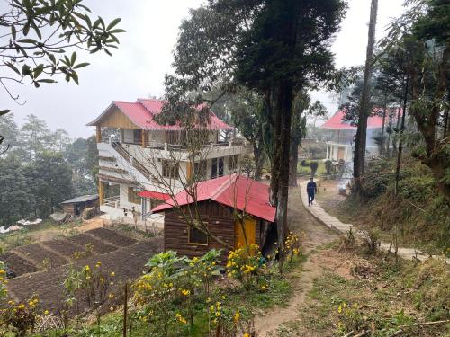 a house on a hill with a person walking down a road at Bloomfield Farmhouse and Eco-Resort in Darjeeling
