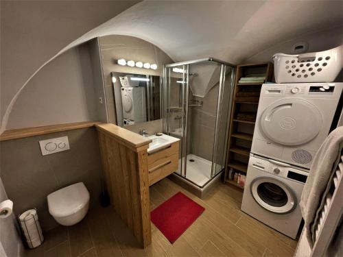 a bathroom with a shower sink and a washing machine at Appartement Saint-Martin-de-Belleville, 4 pièces, 6 personnes - FR-1-452-381 in Saint-Marcel