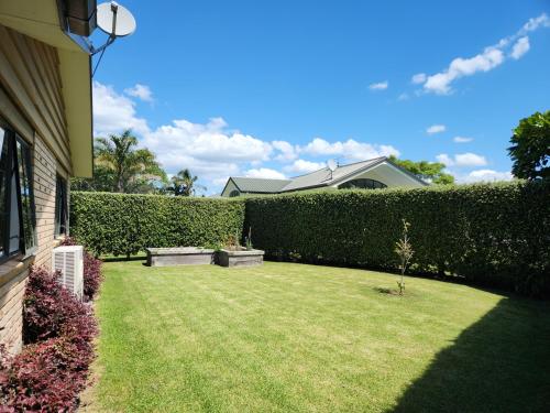 a backyard with a green yard with a hedge at Hahei Garden Sanctuary in Hahei